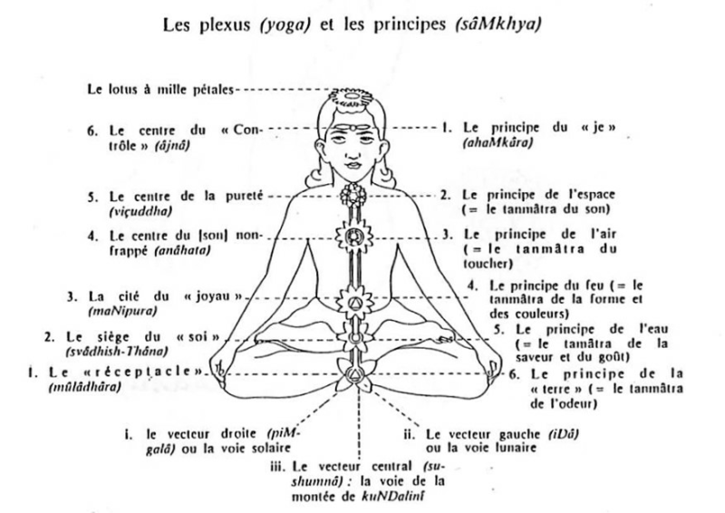 Journées thématiques : stages, les Mées, événements, events, thématique, journées à thème 